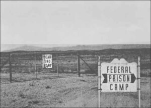 2-m-fe-25-3-camps-300x214.jpg