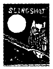 3-f-fe-379-10-slingshot.png