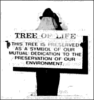 3-s-325-spring-1987-detroit-seen-1.png